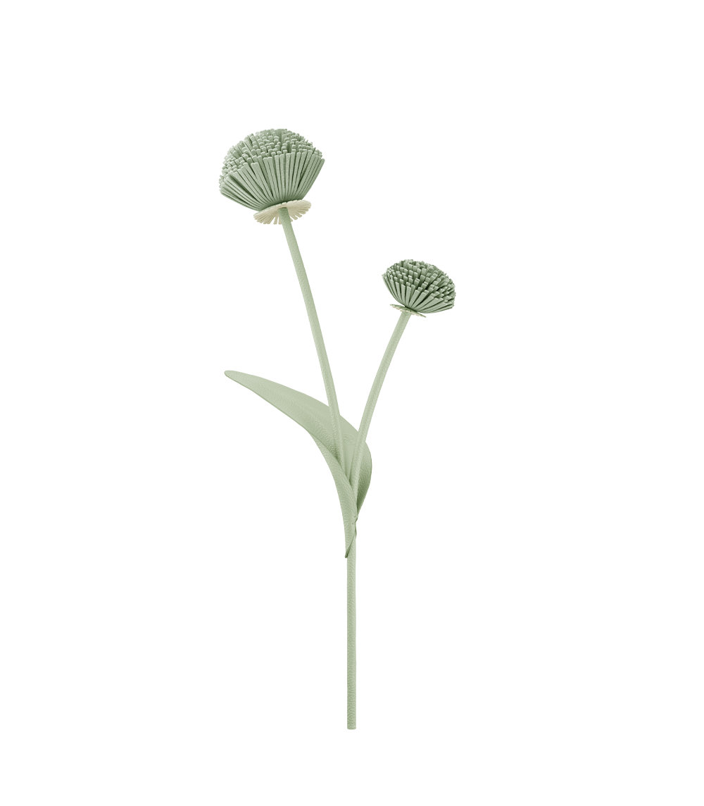 Tul Flower - Duo Fresh Almond